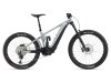 Reign E+ 1 / 625 Wh L Good gray (Testbike)