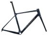 GIANT TCR Advanced Pro Rahmenset rainstorm L